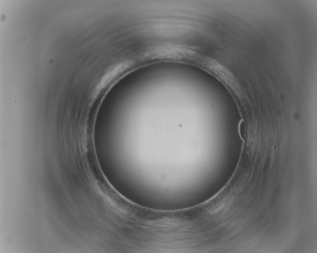 X0000065250578200602242052