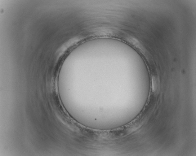 X0000065250579200602242052