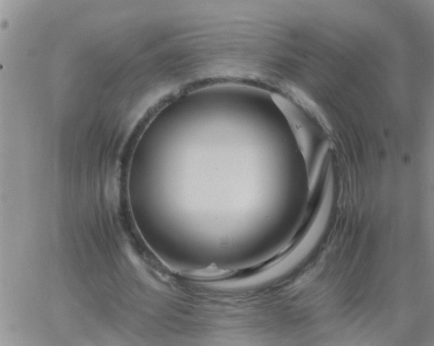 X0000065250580200602242052