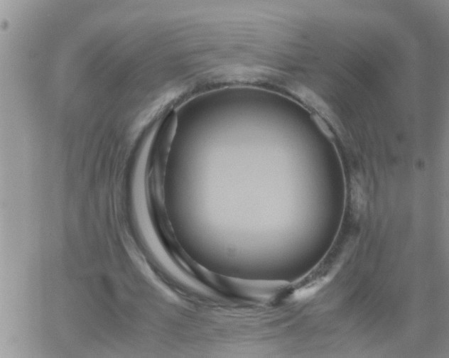 X0000065250581200602242052