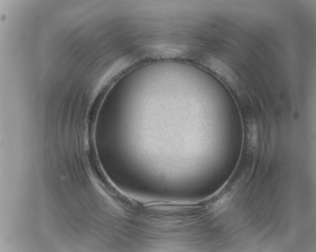 X0000065250582200602242052