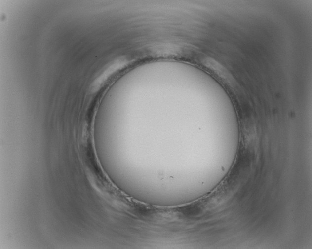 X0000065250583200602242052