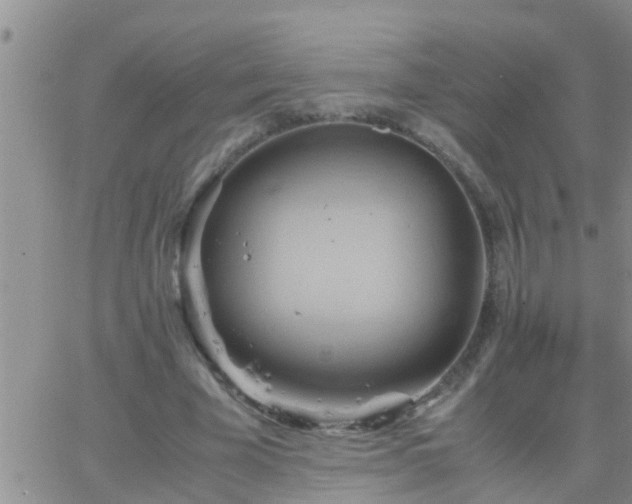 X0000065250585200602242052