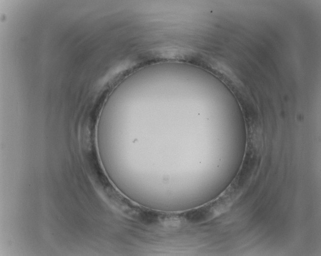 X0000065250587200602242052