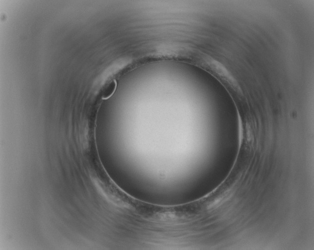 X0000065250588200602242052