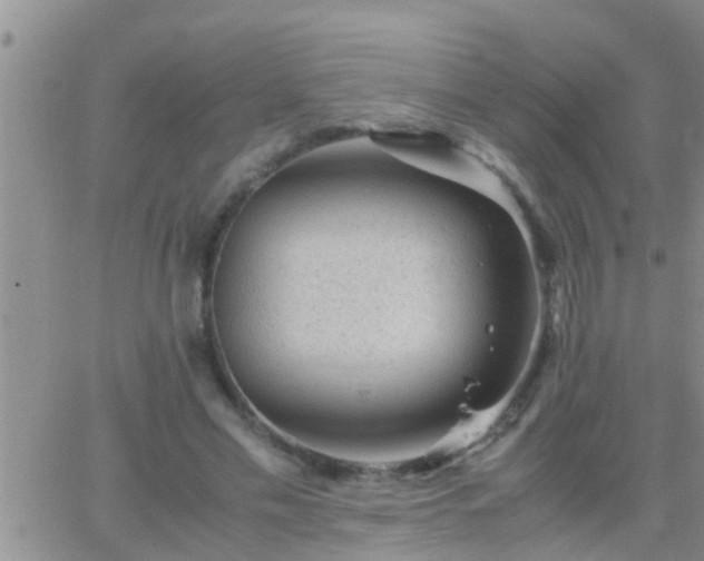 X0000065250589200602242052