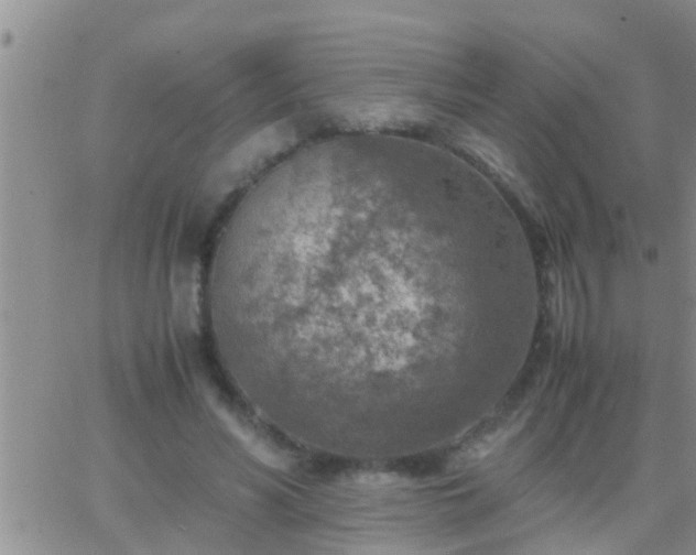 X0000065250590200602242052