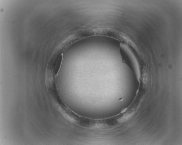 X0000065250593200602242052