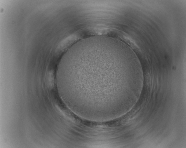 X0000065250594200602242052