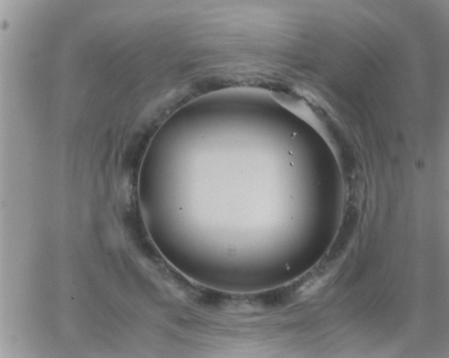 X0000065250597200602242051