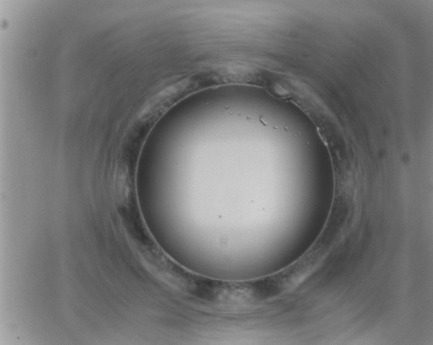 X0000065250599200602242051