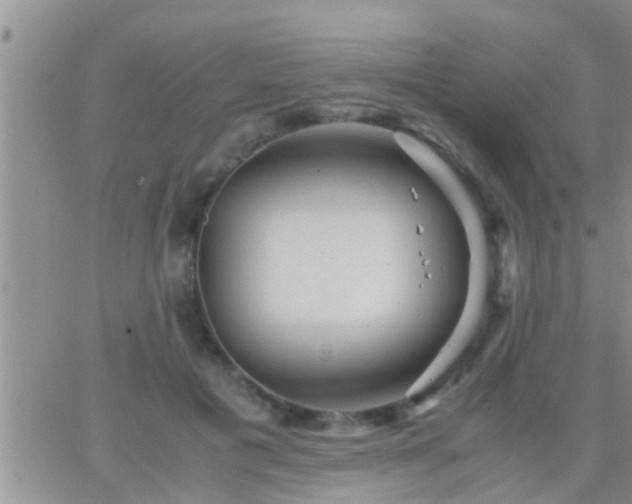 X0000065250601200602242051