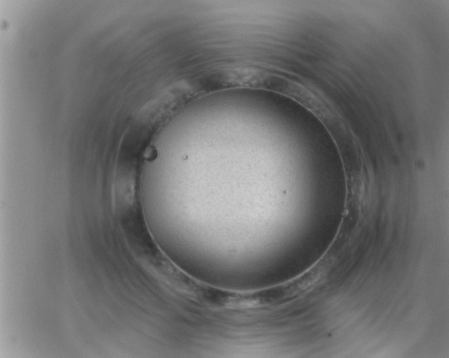 X0000065250602200602242051