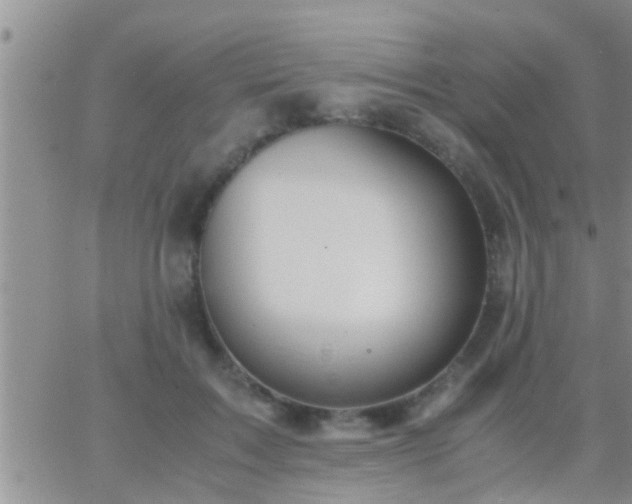 X0000065250603200602242051