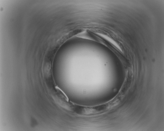 X0000065250605200602242051