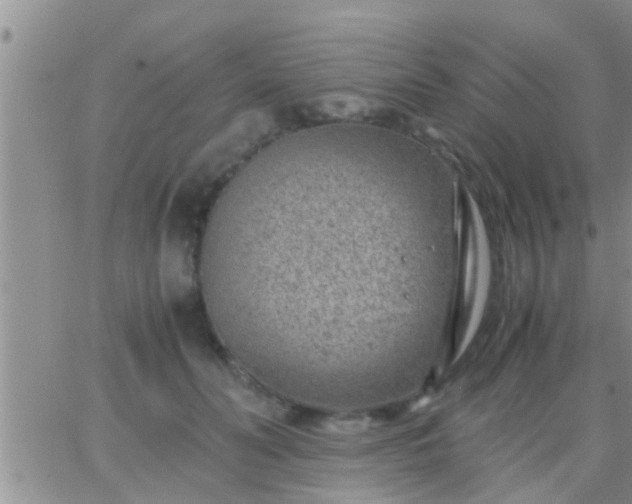 X0000065250606200602242051