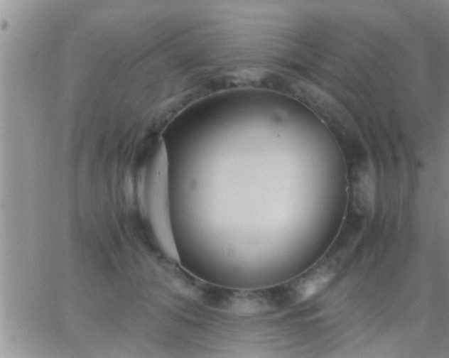 X0000065250608200602242051