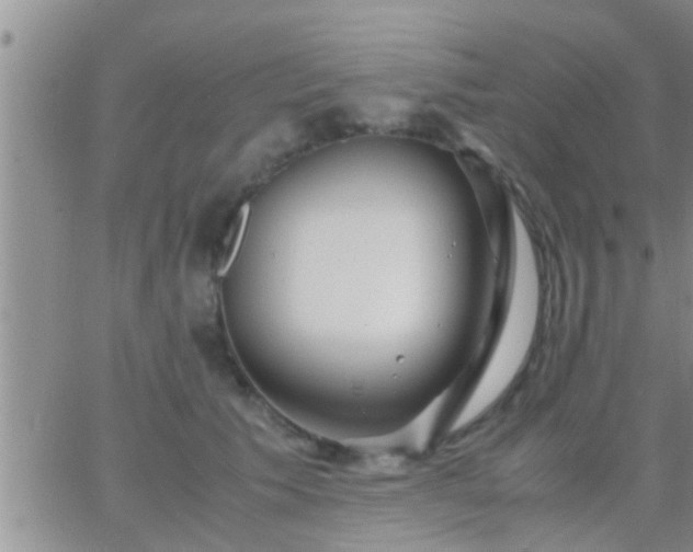 X0000065250609200602242051