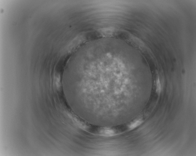 X0000065250610200602242051