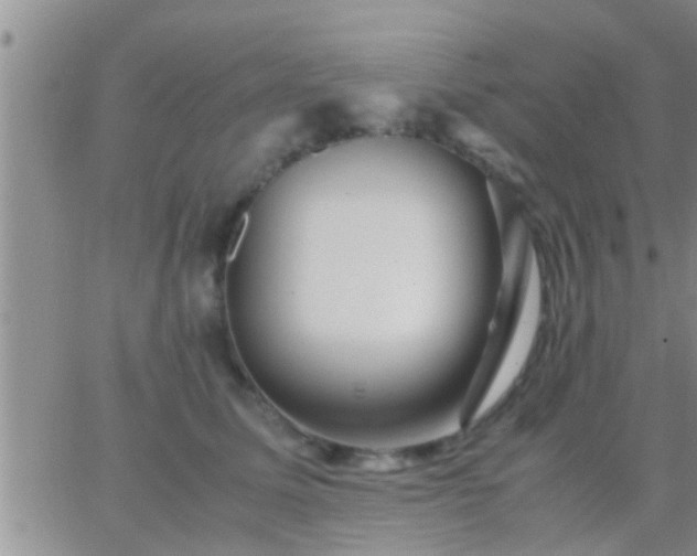 X0000065250611200602242051