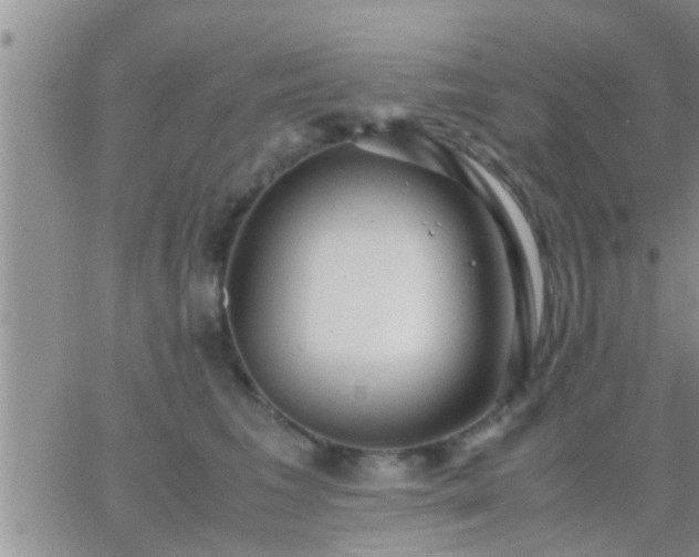 X0000065250613200602242051