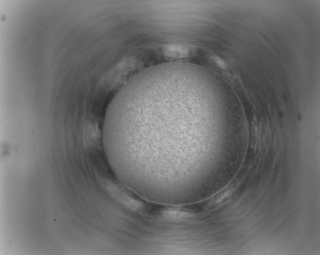 X0000065250614200602242051