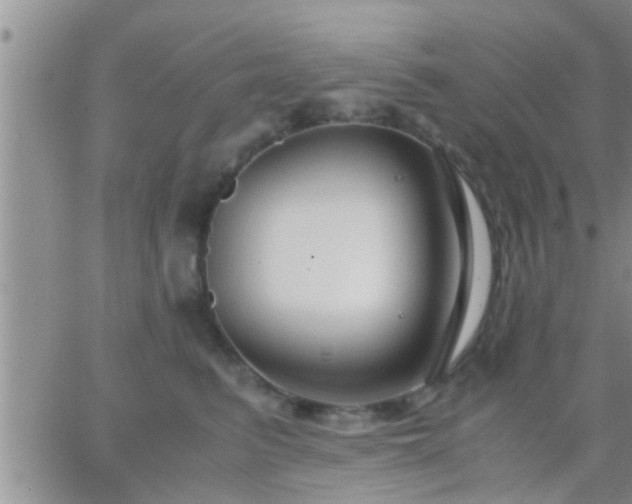 X0000065250615200602242051