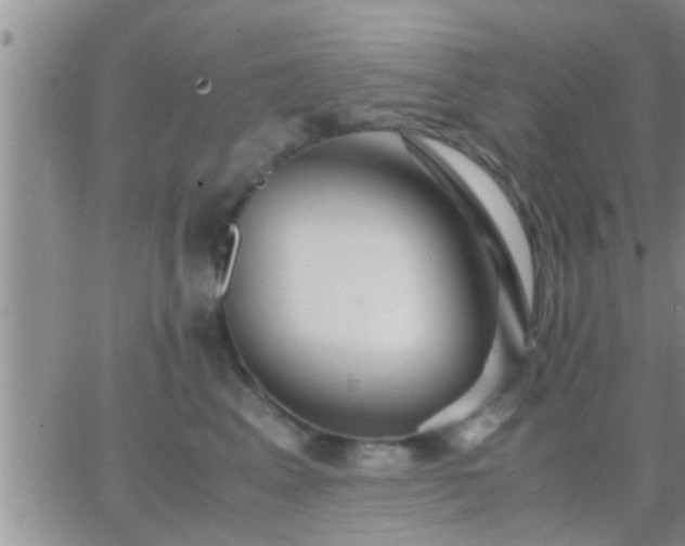 X0000065250617200602242051