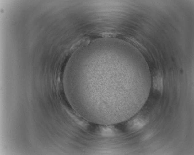 X0000065250618200602242051