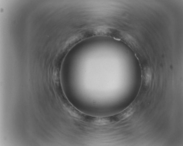 X0000065250619200602242051