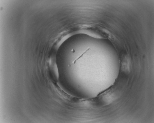 X0000065250620200602242051