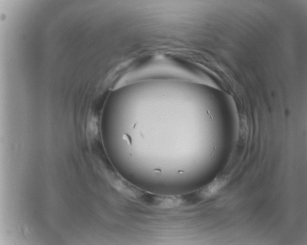 X0000065250621200602242051