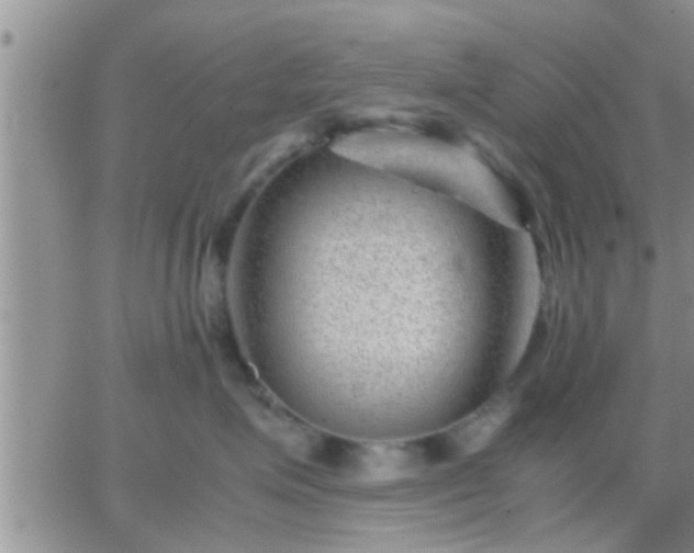 X0000065250623200602242051