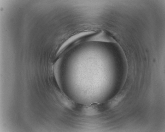 X0000065250624200602242051