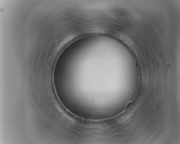 X0000065250625200602242050