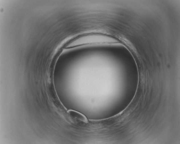 X0000065250628200602242050