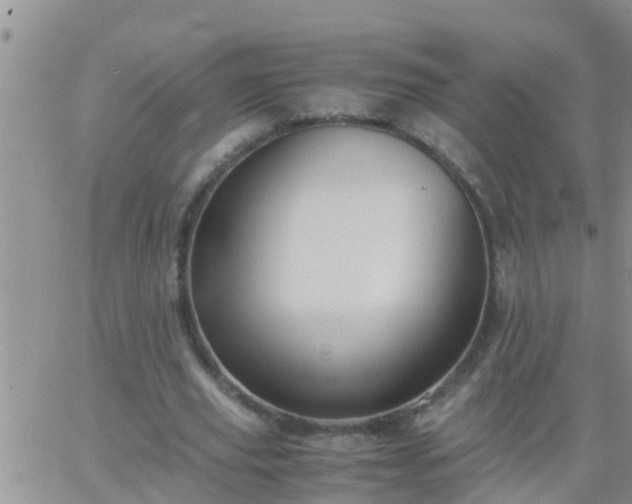 X0000065250629200602242050