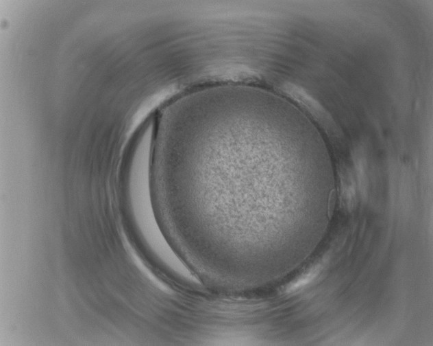 X0000065250630200602242050