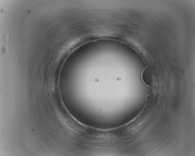 X0000065250631200602242050