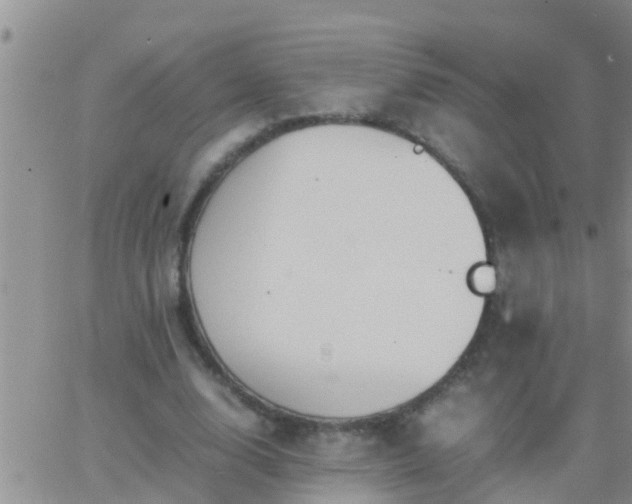 X0000065250632200602242050