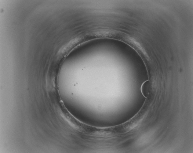 X0000065250633200602242050