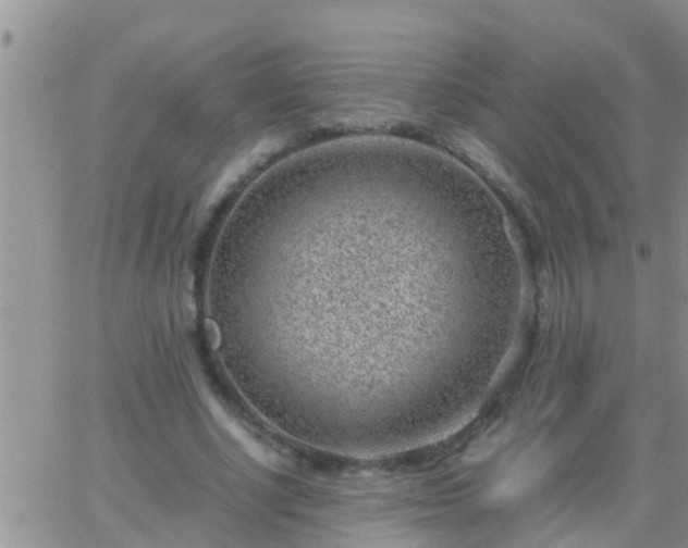 X0000065250634200602242050