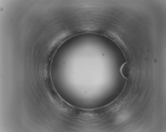 X0000065250635200602242050