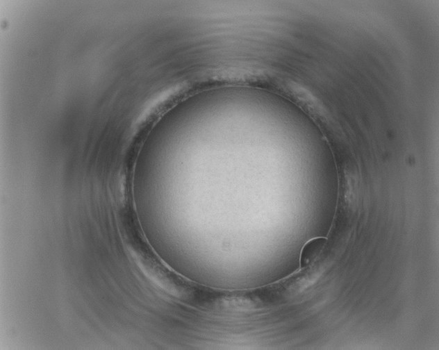 X0000065250636200602242050