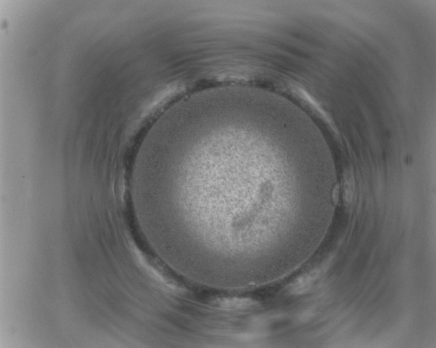 X0000065250637200602242050