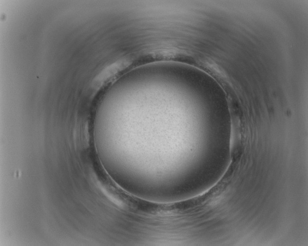 X0000065250638200602242050