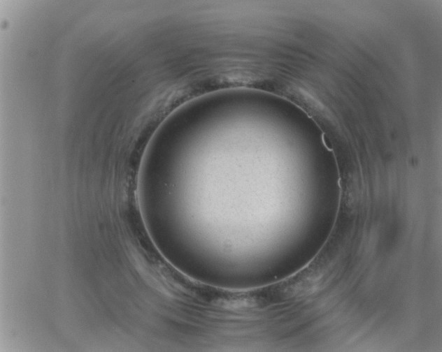 X0000065250639200602242050