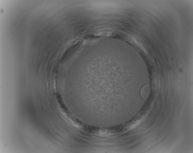 X0000065250641200602242051