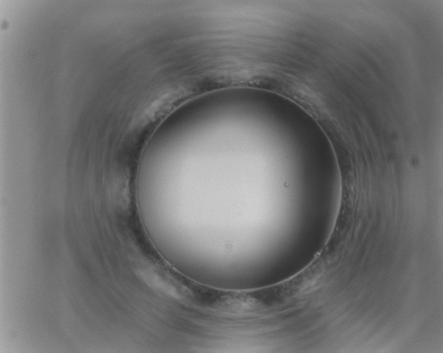 X0000065250642200602242051