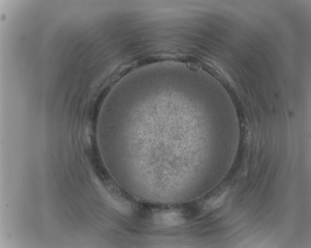 X0000065250643200602242051